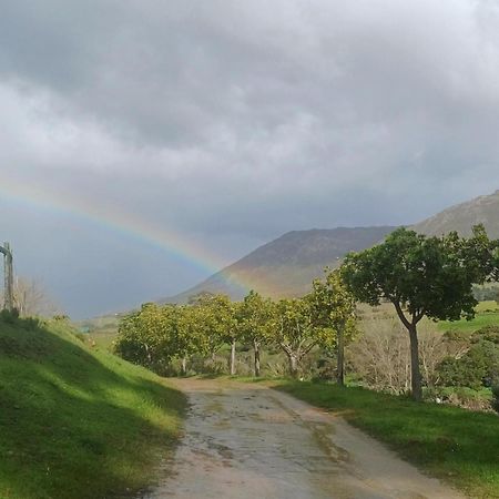 ボット・リバー Swaynekloof Farmヴィラ エクステリア 写真