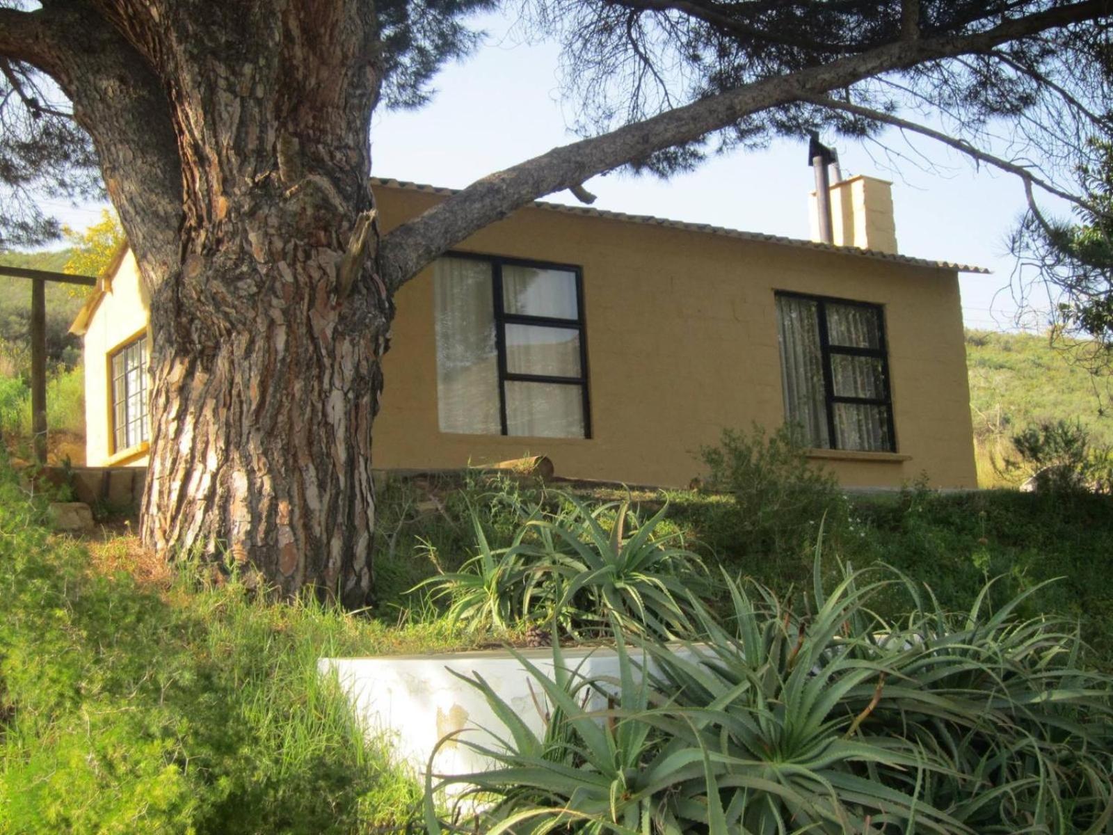 ボット・リバー Swaynekloof Farmヴィラ 部屋 写真
