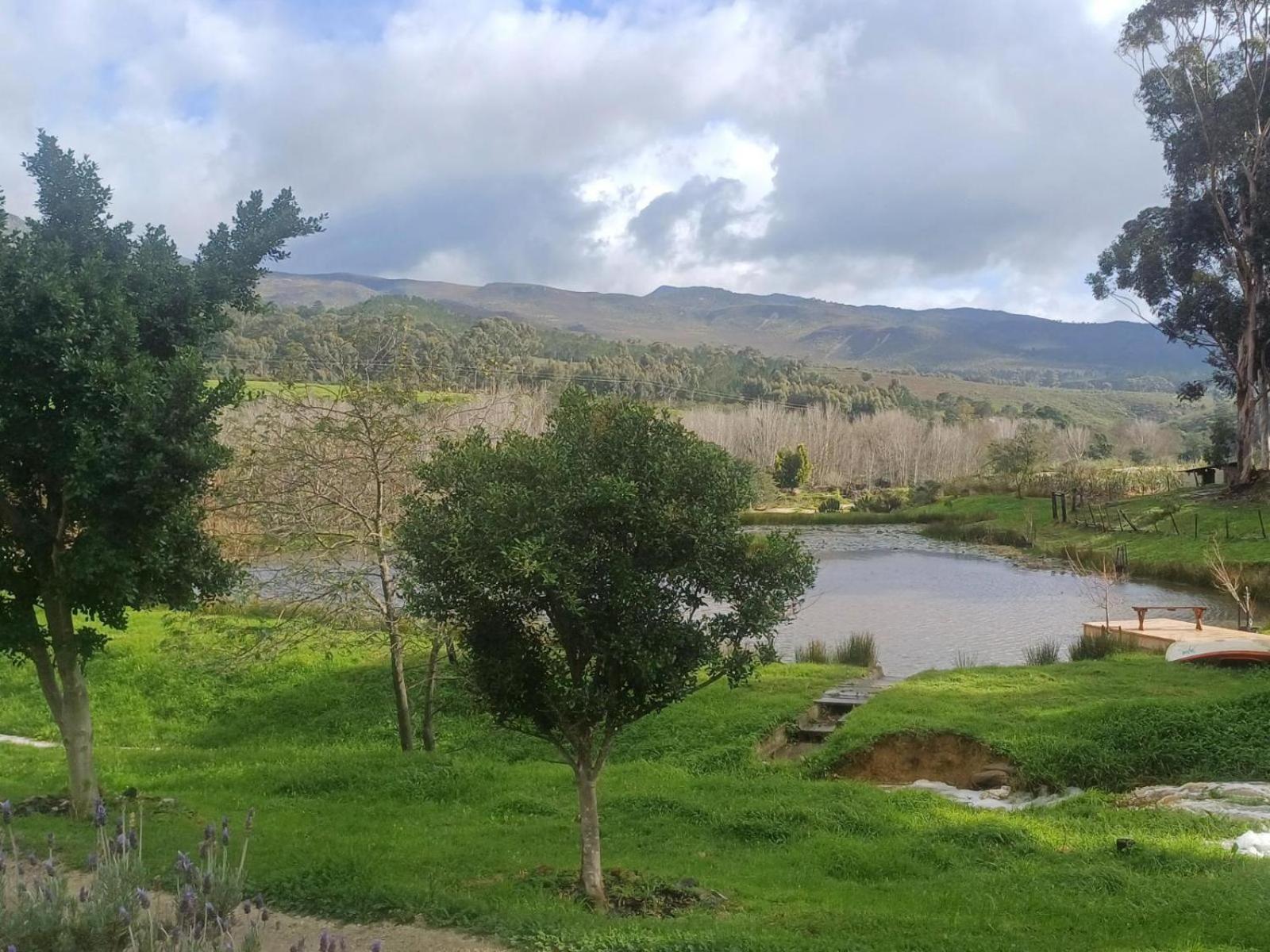 ボット・リバー Swaynekloof Farmヴィラ エクステリア 写真